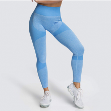 YYBD-0023,The Spot Goods Seamless Hip Wicking Sweat Sportswear Fitness Pants Show Buttock Women Yoga Leggings thumbnail-4