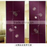Bathroom Door Glass/TJ/CJ/BD-bath Flower thumbnail-1