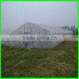 Leaf Minder Net , Anti Insect Net thumbnail-6