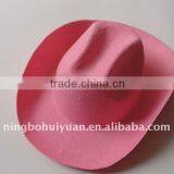 Pink Cowboy Hat
