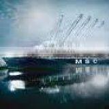 Shipping Company to Miami thumbnail-1