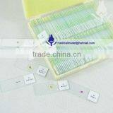 Basic GCSE Slides Set Glass Prepared Slides thumbnail-2