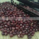 Chinese Adzuki Beans for Europ thumbnail-4