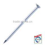 Polished or Electro-Galvanized Common Nails