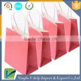 Custom Paper Shopping Bag Gift Bag With Rope Handles