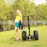 Self Balanced 1000 Watt Electric Scooter