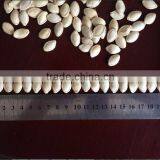 2015 Shine Skin Pumpkin Seeds,, Pumpkin Seeds