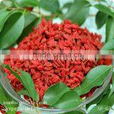 High Quality Ningxia Goji Berries Dried