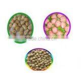Automatic Botanical Meat Highly Textured Soy Protein Machine thumbnail-5