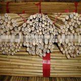 WY-211 Natural Dryness for 12% Straight Garden Tonkin Bamboo Poles Bamboo Canes Bamboo Stakes for Sale thumbnail-4