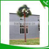 Royal Palm Highlighting Artificial Palm Trees thumbnail-5