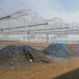 UV Resistant Plastic Film Greenhouse thumbnail-3