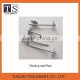 Roofing Nail for Building Construction thumbnail-1