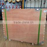 Dual Voltage 480V/220V-3P-60HZ Sheet Metal Lifting Electric Chain Hoist thumbnail-6