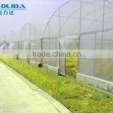 Hot Sale Galvanized Pipe With Plastic Film Greenhouse for Crops or Commercial Use thumbnail-1