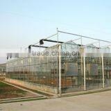 Large Glass Agricultural Greenhouses/Glass Greenhouses Used thumbnail-5