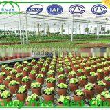 Commercial Hydroponics Greenhouse Cost for Sale thumbnail-6