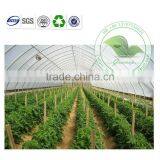 Eco-friendly Transparent PVC Tunnel Greenhouse/Flower House/ Warm House For Agriculture thumbnail-2