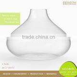 Glass Hydroponic Container for Home or Garden Decoration thumbnail-1