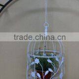 Metal Birdcage for Wedding thumbnail-1