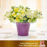Bright Candy Colorful Bulk Ceramic Flower Pots thumbnail-5