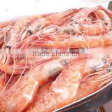 Borealis thumbnail-4