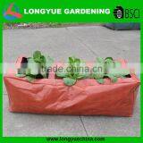 PE Vegetable Garden Grow Bag 3 Pocket thumbnail-1