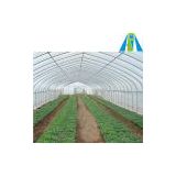Single Span Tunnel Greenhouse for Sale