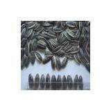 2012 Chinese Roasted Sunflower Seeds thumbnail-1