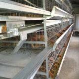 Seychelles Poultry Farming Equipment Battery Broiler Chicken Cage & Meat Chicken Cage & Chicken Coop in Poultry House thumbnail-4