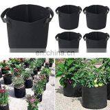 High Quality Plant Grow Bags Felt Fabric Pots With Handles thumbnail-4