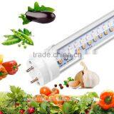 2016 alibaba express china dual spectrum LED grow light Red Blue color 18W 4FT T8 LED indoor plant grow lights tube hydroponic