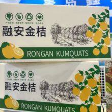 Wholesale PP Corrugated Fruit and Vegetable Packing Boxes thumbnail-5