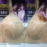 0.96USD ESCROW PAYMENT Factory Wholesale Sexy Fancy Bra/Underwear/latest Sexy Fancy Bra, CAN 600PCS MIXING ITEMS ( Gdwx378) thumbnail-2
