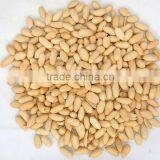 Roasted&salted Peanut Roasted Peanut thumbnail-1