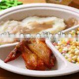 Disposable Biodegradable Bagasse Plates With Compartments