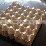 30 Eco-friendly Paper Pulp Egg Tray thumbnail-3