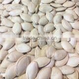 Highly Quality Barely Pumpkin Seeds/Shine Skin Pumpkin Seeds thumbnail-3