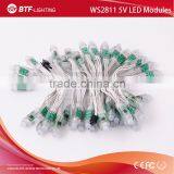 WS2811 Pixel Led Module 5V IP68 Waterproof White Wire thumbnail-2