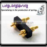 SpringSpring thumbnail-2