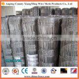 Hot Sales Horse Field Fence