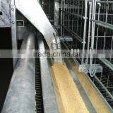 Trolley feeding system