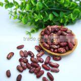 Red Speckled Kidney Beans thumbnail-4
