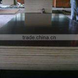 PLYWOOD thumbnail-1