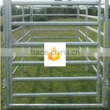 horse fence panel for wholesale(China manufacturer)