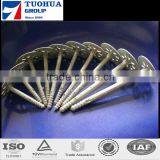 Plastic Heat Preservation Nail Wholesale With Competitive Price thumbnail-1