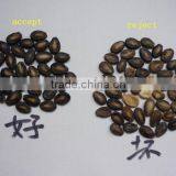 5000+pixel CCD Color Sorter, Color Sorting Machine for Cashew, Peanut, Plastic, Walnut, Dehydrated Vegetables, Fruit thumbnail-2