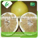 Fresh Sweet Honey Pomelo in Box thumbnail-1