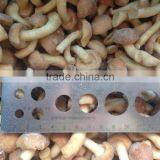 Frozen Nameko thumbnail-3