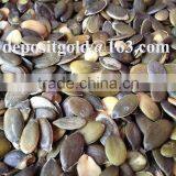 GWS Pumpkin Seeds Pirce Grade A thumbnail-3